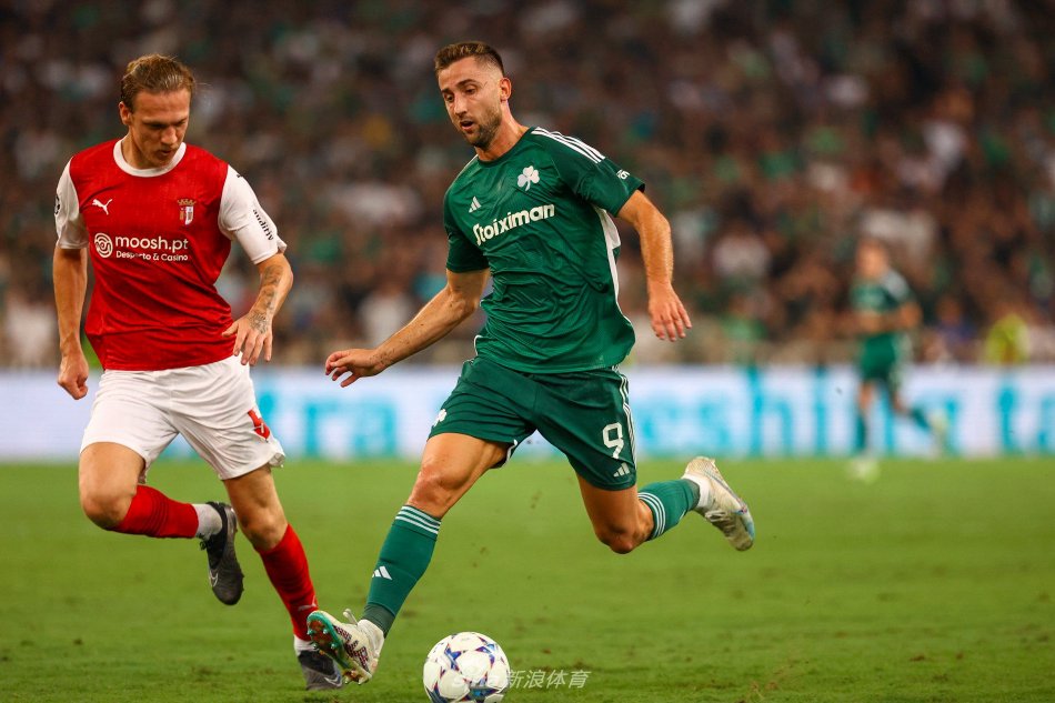 组织进攻的 组织进攻的